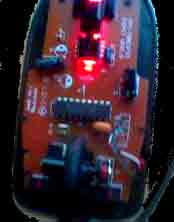 optisen hiiren alastonkuva